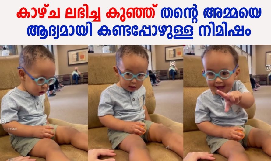 കാഴ്ച ലഭിച്ച കുഞ്ഞ് തന്റെ അമ്മയെ ആദ്യമായി കണ്ടപ്പോഴുള്ള നിമിഷം