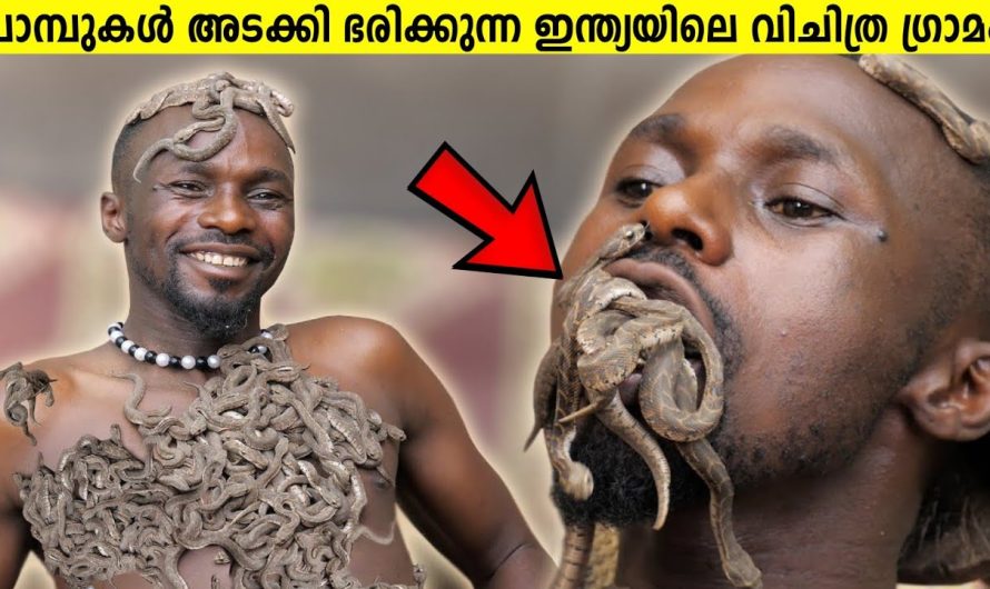 ഇത് ഇന്ത്യയിലെ നരകം! ഉറങ്ങുന്നത് പോലും പാമ്പുകളുടെ കൂടെ!