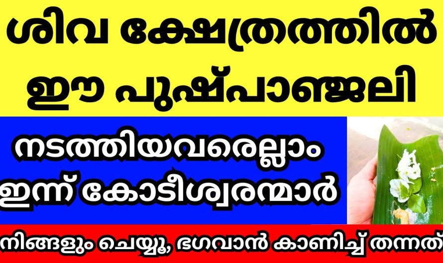 ശി.വ ക്ഷേത്രത്തിൽ 3 ഞായറാഴ്ച്ച ഈ പുഷ്പാഞ്ജലി മുടങ്ങാതെ നടത്തിയവരെല്ലാം ഇന്ന് കോടീശ്വരന്മാർ