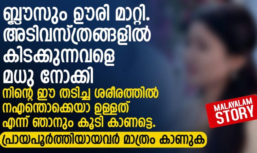 നിന്റെ ഈ തടിച്ച ശരീരത്തിൽ എന്തൊക്കെയാ ഉള്ളത് എന്ന് ഞാനും കൂടി കാണട്ടെ