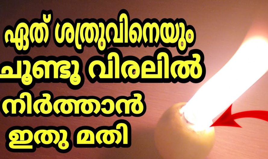 ഒരു ദിവസം കൊണ്ട്ഏത് ശ..ത്രു..വിന്റെയും ഉപദ്രവം ഇല്ലാതാക്കാം