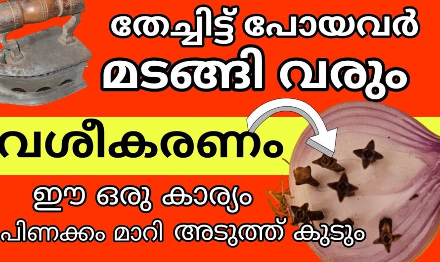 എത്ര വലിയ പിണക്കവും മാറി തിരിച്ചു വരുന്ന വശ്യ ക്രിയ