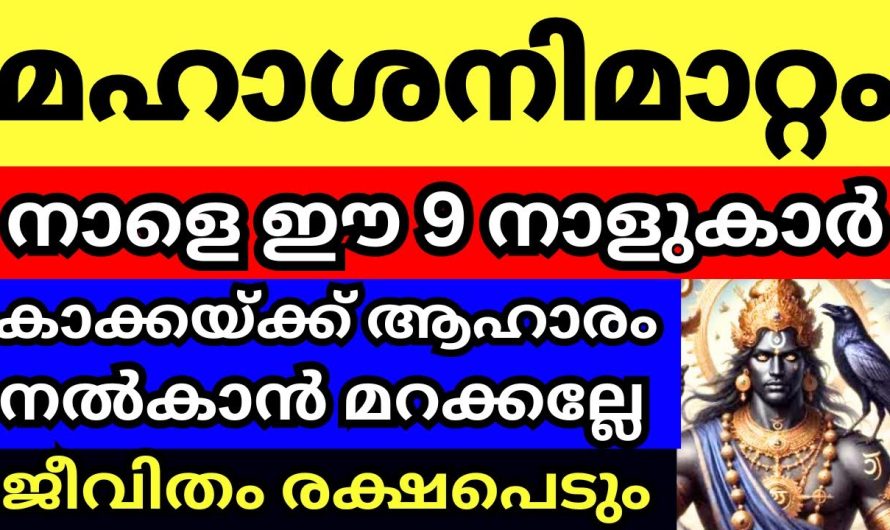 നാളെ ഈ നാളുകാരായ സ്ത്രീകൾ കാക്കയ്ക്ക് ആഹാരം നൽകാൻ മറക്കല്ലേ