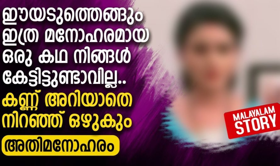 ഇത്രയും നാൾ പൗഡർ ഉപയോഗിച്ചിട്ടും ഇതൊന്നും അറിയാതെ പോയല്ലോ