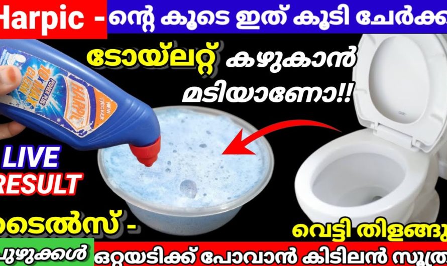Harpic ന്റെ കൂടെ ഇത്‌ കൂടി ചേർക്കു ഇനി ടോയ്ലറ്റ് വർഷം മുഴുവനും പുതുപുത്തൻ ആയിരിക്കും