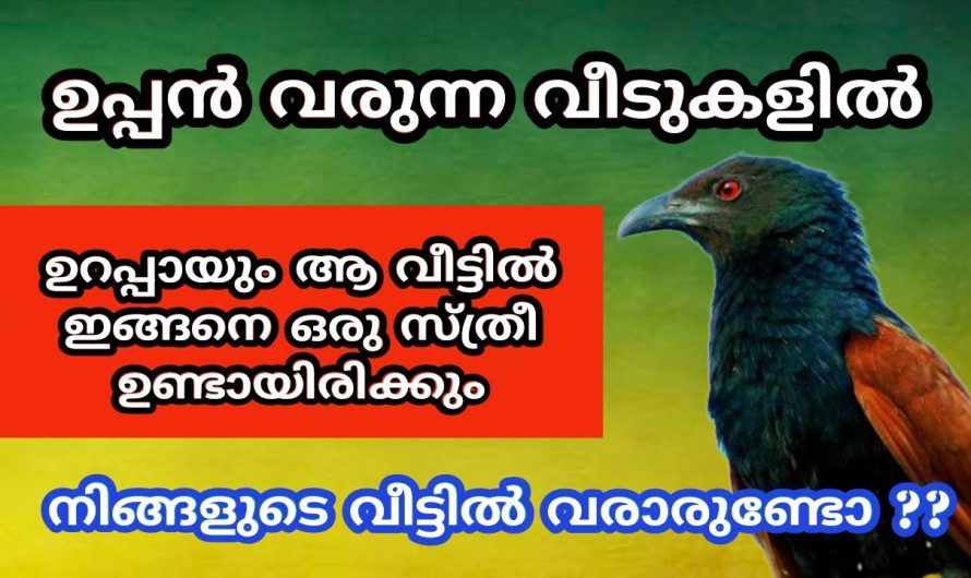 ഉപ്പൻ വരുന്ന വീടുകളിൽ ഉറപ്പായും ആ വീട്ടിൽ ഇങ്ങനെ ഒരു സ്ത്രീ ഉണ്ടായിരിക്കും
