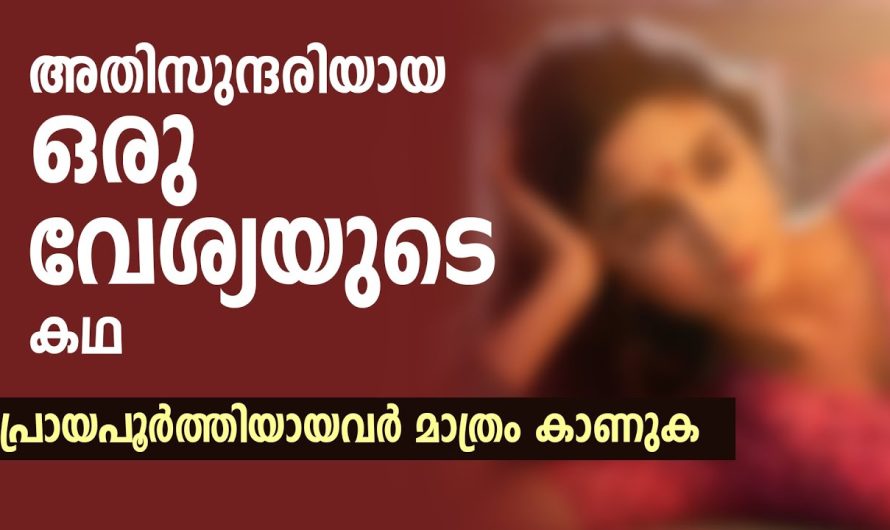 അവളുടെ ശ.രീ.ര.ത്തിന്റെ രുചിയറിയാൻ ചെന്നിരുന്നവർ