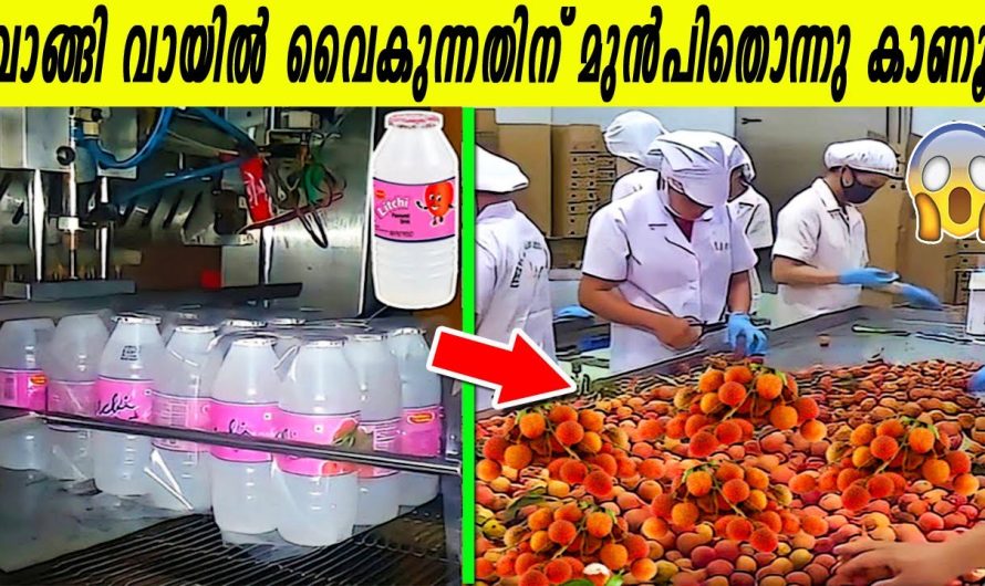 ഫാക്ടറിയിലെ ഈ കാഴ്ചകൾ കാണാതെ പോകല്ലേ?