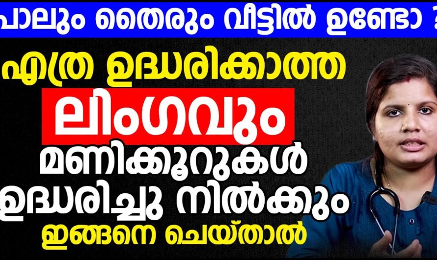 എത്ര ഉദ്ധരിക്കാത്ത .ലിം.ഗവും മണിക്കൂറുകൾ ഉദ്ധരിച്ചു നിൽക്കും ഇങ്ങനെ ചെയ്താൽ