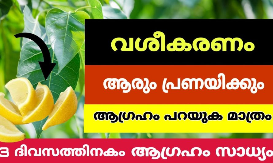 അതിശക്തിയേറിയ വ.ശീ.ക.രണം