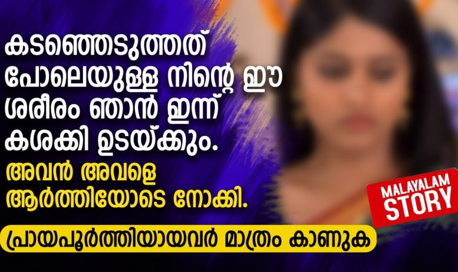 സ്വന്തം ചേച്ചിയെ കൊന്ന ചേച്ചിയുടെ ഭർത്താവിനോട് അനിയത്തി ചെയ്തത് കണ്ടോ..