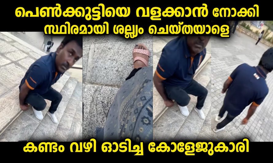 പെൺകുട്ടിയുടെ പുറകെ നടന്ന പറയാനുള്ളയാളോട് പ്രതികരിച്ച സംഭവം