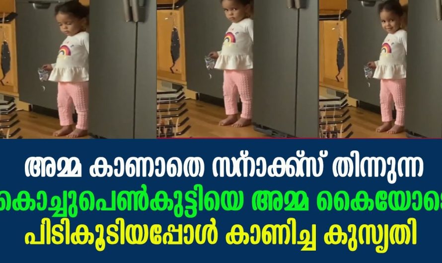 അമ്മ കാണാതെ സ്‌നാക്ക്‌സ് തിന്നുന്ന കൊച്ചുപെണ്‍കുട്ടിയെ അമ്മ കൈയോടെ പിടിച്ചപ്പോള്‍
