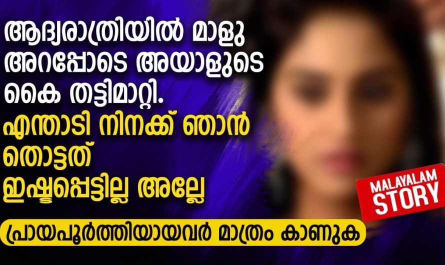 സ്വന്തം ഭാര്യയെ എന്നും ഉപദ്രവിച്ചുകൊണ്ടിരുന്ന ഭർത്താവിനെ വന്ന ഗതി കണ്ടോ..