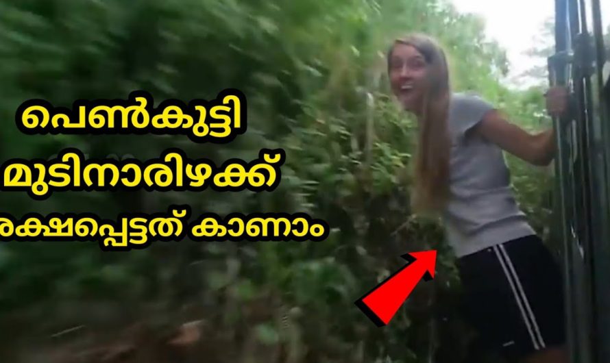 കാലൻ അവധിക്ക് പോയപ്പോൾ സംഭവിച്ചത്