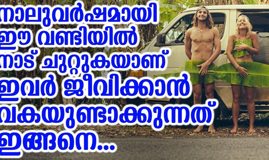 നാലുവർഷമായി യാത്രകൾ ചെയ്ത് വാനിൽ ജീവിക്കുന്ന യുവദമ്പതികൾ..