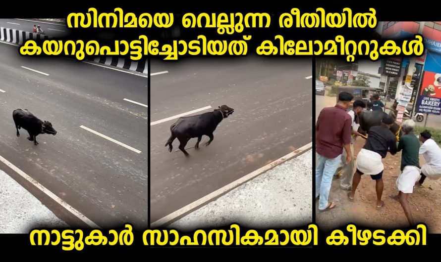 സിനിമയെ വെല്ലുന്ന രീതിയിൽ നടന്ന സംഭവം…