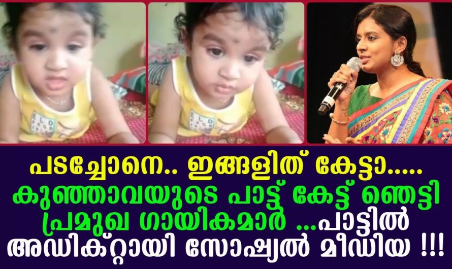 ഈ പൊടിക്കുഞ്ഞു പാടുന്നത് കേട്ടാൽ എങ്ങനെ ഞെട്ടാതിരിക്കും