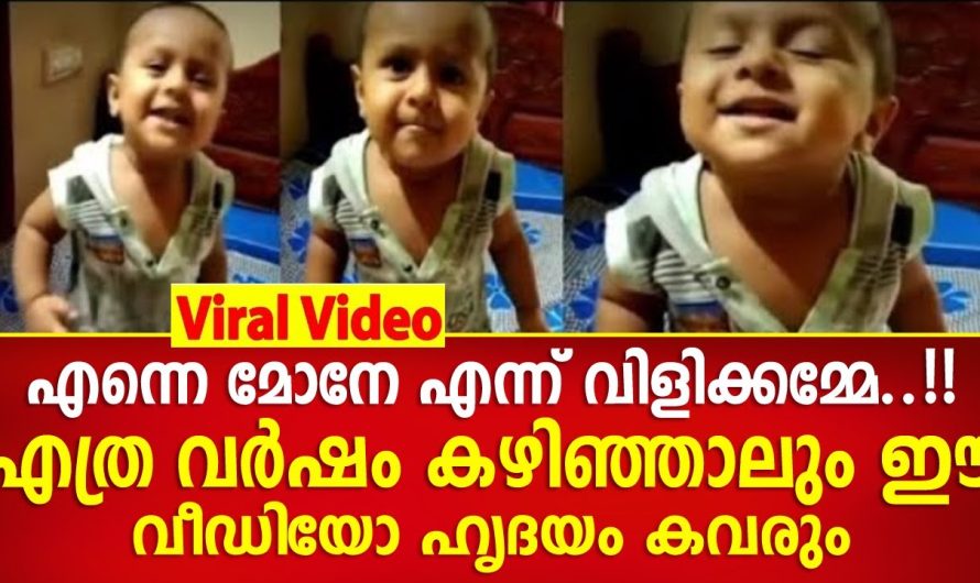 ഹൃദയം കവരും ഈ പിഞ്ചോമനയുടെ വീഡിയോ…