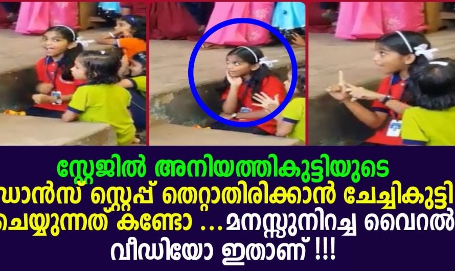 ഈ ചേച്ചിക്കുട്ടിയാണ് ഇപ്പോൾ വൈറൽ താരം…മനസ്സുനിറച്ച വീഡിയോ
