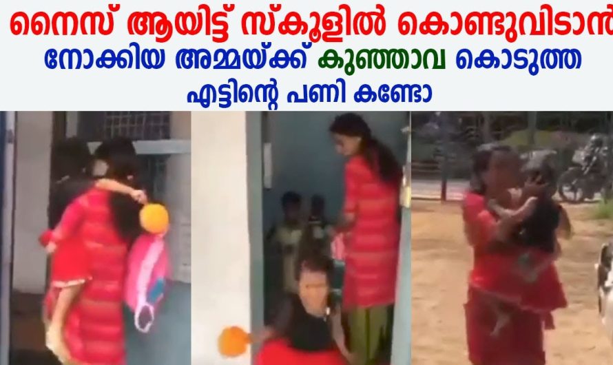 ഇന്ന് കണ്ടതിൽ ഏറ്റവും കൂടുതൽ ചിരിപ്പിച്ച വീഡിയോ കാണാം !!
