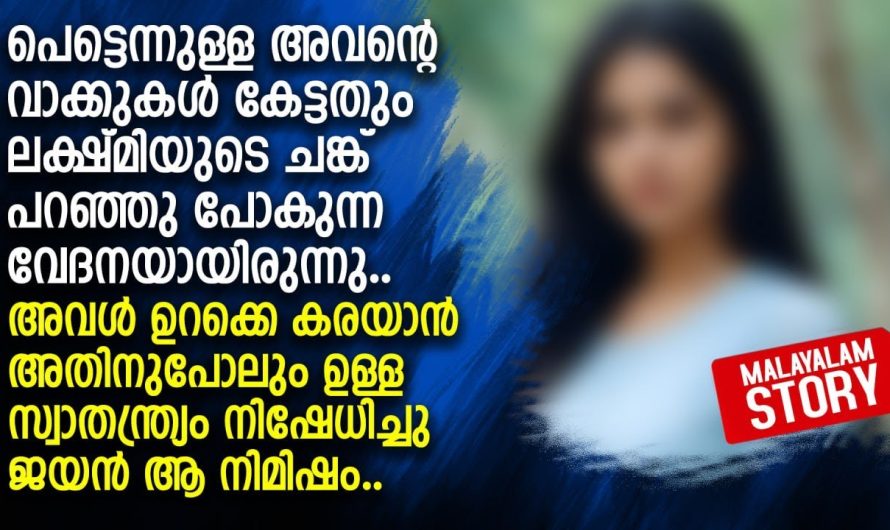 മരുഭൂമിയിൽ ഒരു മഴ പെയ്ത സന്തോഷമായിരുന്നു ലക്ഷ്മിയുടെ മുഖത്ത്