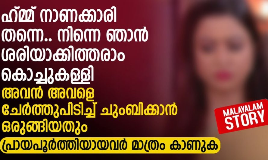ഹ്മ്മ് നാണക്കാരി തന്നെ.. നിന്നെ ഞാൻ ശരിയാക്കിത്തരാം കൊച്ചുകള്ളി