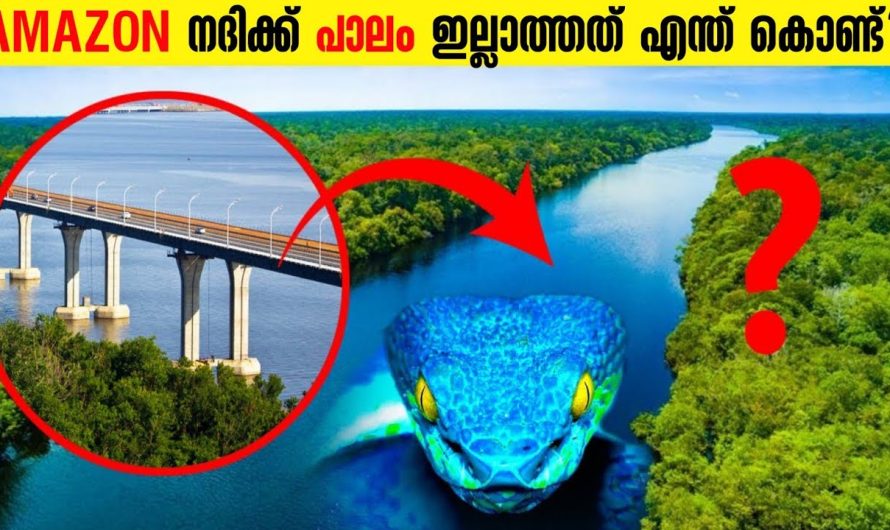ആമസോൺ നദിക്ക് കുറുകെ പാലം പണിയാത്തത് എന്ത്കൊണ്ട്?