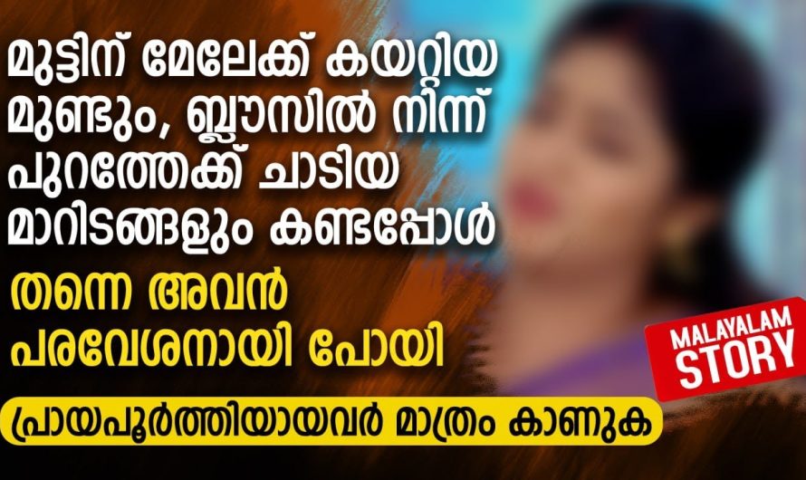 മുട്ടിന് മേലേക്ക് കയറ്റിയ മുണ്ടും കണ്ടപ്പോൾ തന്നെ അവൻ പരവശനായി പോയി