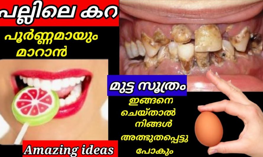 ഇത്രനാളും മുട്ട ഉപയോഗിച്ചിട്ടും ഇങ്ങനെ ചെയ്യാൻ തോന്നിയില്ലല്ലോ
