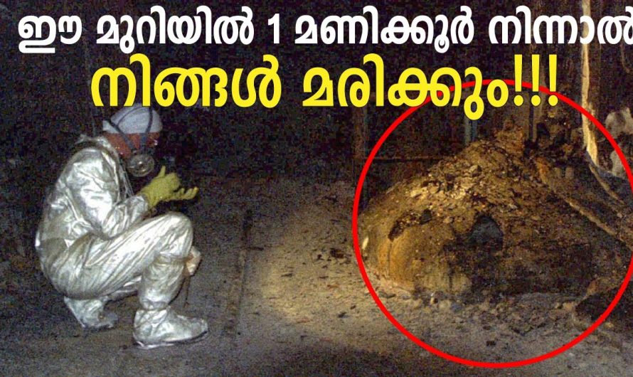 ലോകത്തിലെ ഏറ്റവും അപകടകരമായ സ്ഥലം |