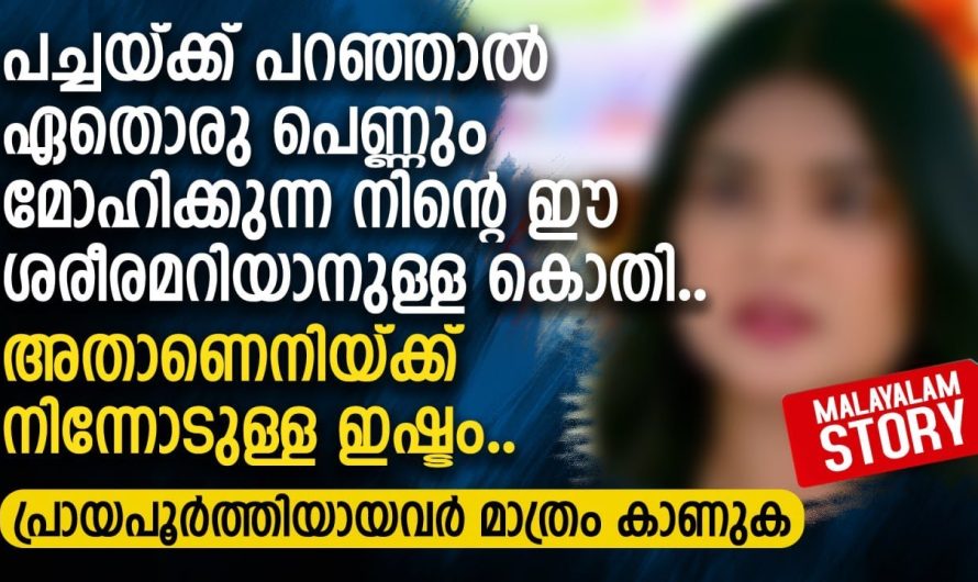പച്ചയ്ക്ക് പറഞ്ഞാൽ ഏതൊരു പെണ്ണും മോഹിക്കുന്ന നിന്റെ ഈ
