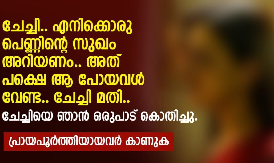 ചേച്ചി എനിക്കൊരു പെണ്ണിന്റെ സുഖം അറിയണം.. ചേച്ചിയെ ഞാൻ ഒരുപാട് കൊതിച്ചു