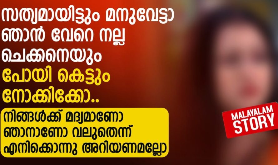 സത്യമായിട്ടും മനുവേട്ടാ ഞാൻ വേറെ നല്ല ചെക്കനെയും പോയി കെട്ടും നോക്കിക്കോ