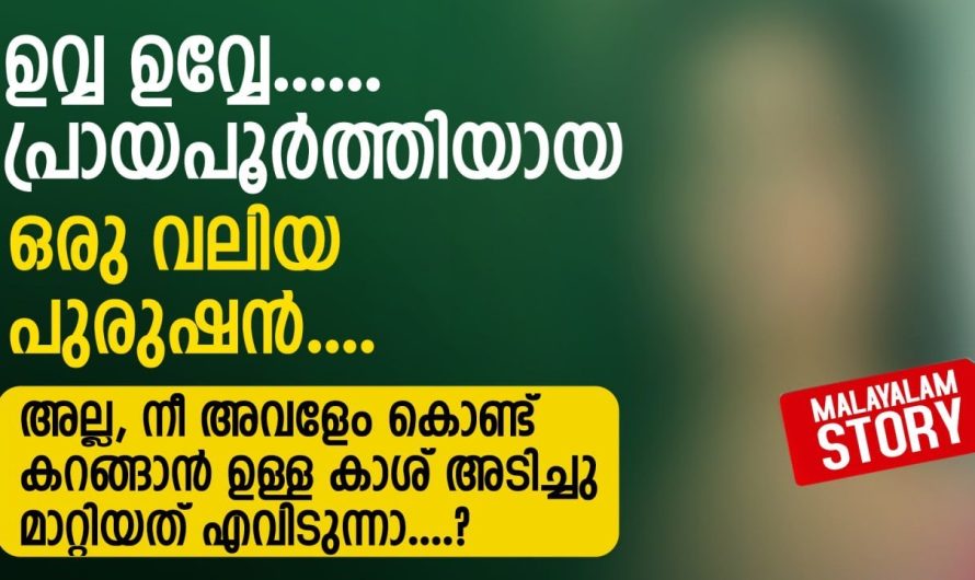 നീ അവളേം കൊണ്ട് കറങ്ങാൻ ഉള്ള കാശ് അടിച്ചു മാറ്റിയത് എവിടുന്നാ