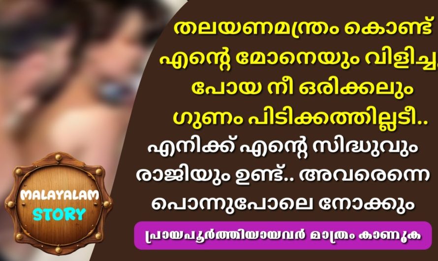 തലയണമന്ത്രം കൊണ്ട് എന്റെ മോനെയും വിളിച്ചു പോയ നീ ഒരിക്കലും ഗുണം പിടിക്കത്തില്ലടീ