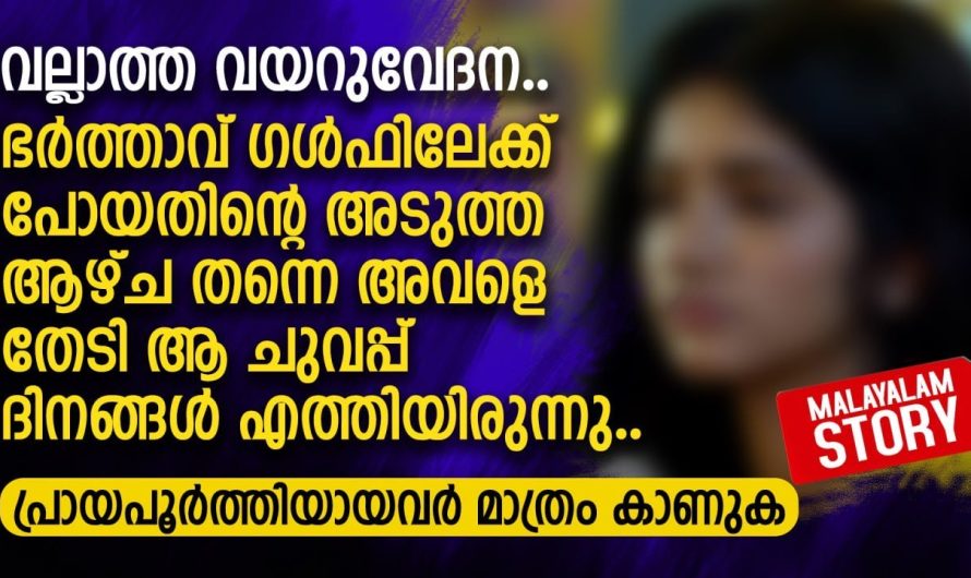 ഭർത്താവ് ഗൾഫിലേക്ക് പോയതിന്റെ അടുത്ത ആഴ്ച തന്നെ അവളെ തേടി ആ ചുവപ്പ് ദിനങ്ങൾ എത്തി