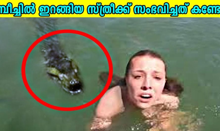 ലോകത്തിലെ ഏറ്റവും അപകടകരമായ 10 കടൽത്തീരങ്ങൾ