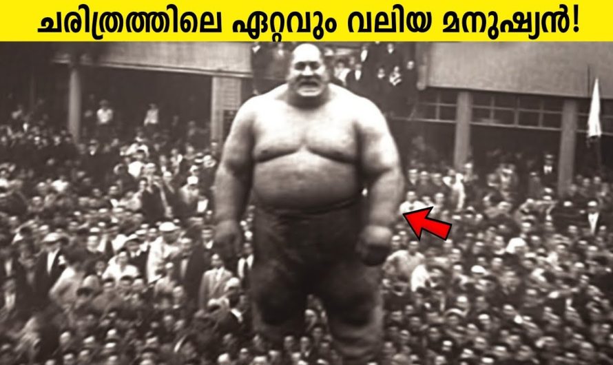 ഇവരൊക്കെ മനുഷ്യർ തന്നെയാണോ?!😱