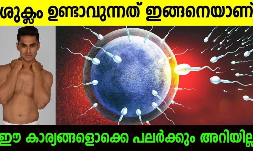 ഈ കാര്യങ്ങൾ അറിഞ്ഞില്ലെങ്കിൽ പണി കിട്ടും