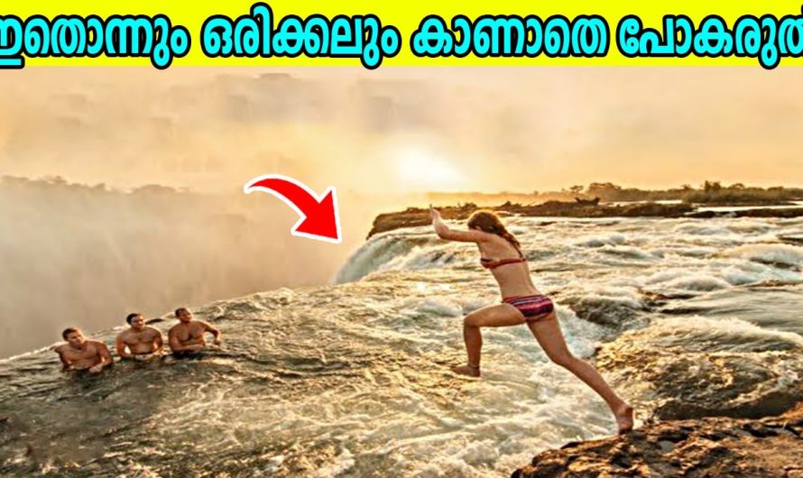 ലോകത്തിലെ ഏറ്റവും ചെലവേറിയ കുളങ്ങൾ