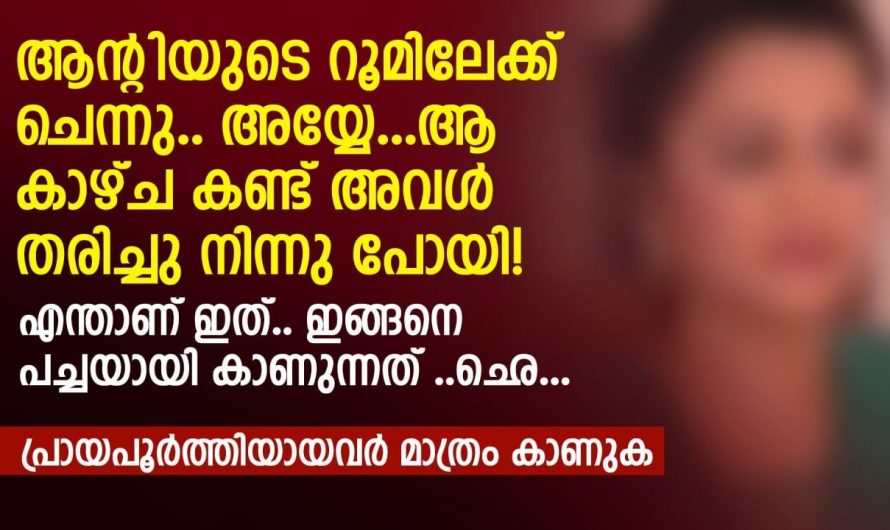 ആന്റിയുടെ റൂമിലേക്ക് ചെന്നു.. അയ്യേ.. ആ കാഴ്ച കണ്ട് അവൾ തരിച്ചു നിന്നു പോയി