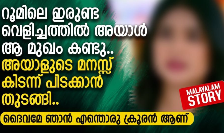 റൂമിലെ ഇരുണ്ട വെളിച്ചത്തിൽ അയാൾ ആ മുഖം കണ്ടു