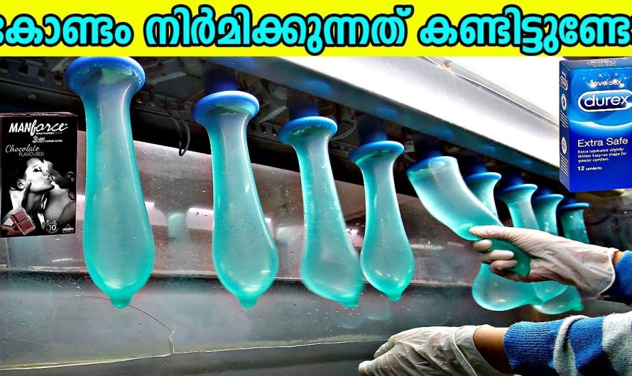 നിങ്ങളെ തീർച്ചയായും ആകർഷിക്കുന്ന 10 തൃപ്തികരമായ കാര്യങ്ങൾ