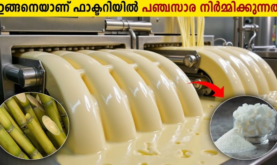പഞ്ചസാര നിർമ്മിക്കുന്ന Factory ലെ അത്ഭുത കാഴ്ചകൾ!😱