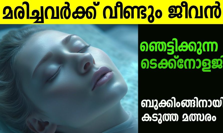 ഞെട്ടിക്കുന്ന ടെക്നോളജി ബുക്കിങ്ങിനായി കടുത്ത മത്സരം