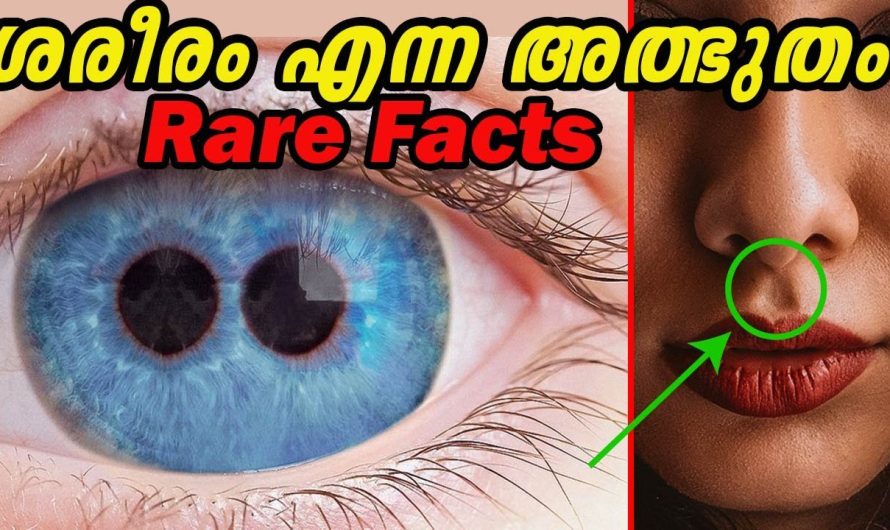 മനുഷ്യന് മാത്രമേ താടി ഉള്ളോ ??