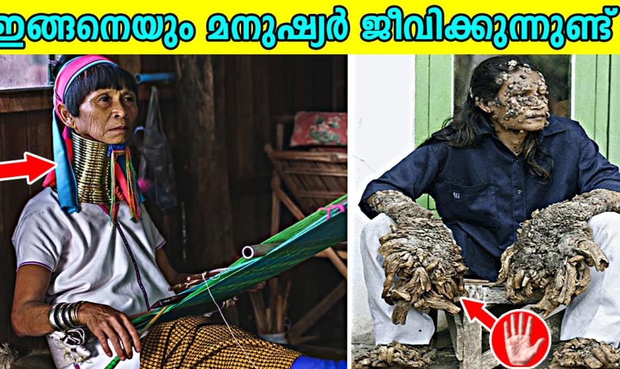 ഇങ്ങനേയും മനുഷ്യർ ജീവിക്കുന്നുണ്ട്