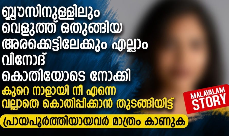 ബ്ലൗസിനുള്ളിലും വെളുത്ത് ഒതുങ്ങിയ അരക്കെട്ടിലേക്കും എല്ലാം വിനോദ് കൊതിയോടെ നോക്കി