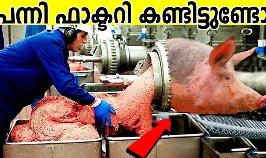 ഇതൊന്നും കാണാതെ പോകരുത്